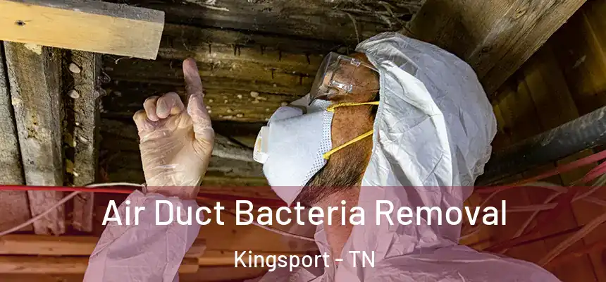  Air Duct Bacteria Removal Kingsport - TN