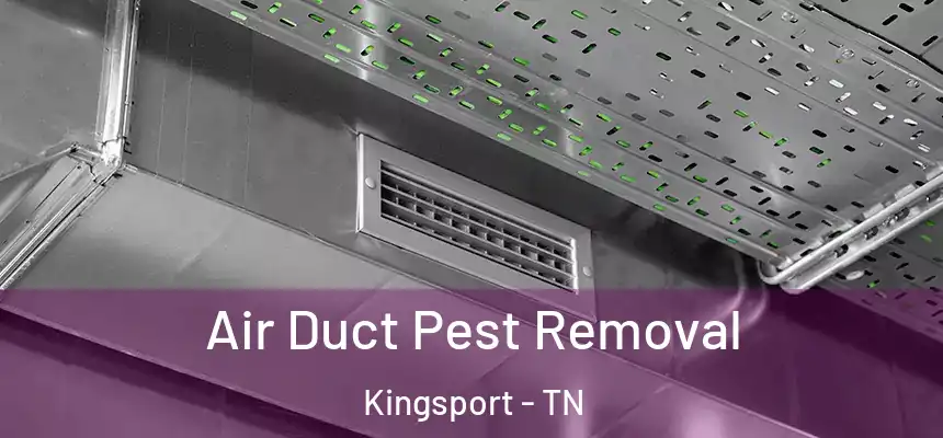 Air Duct Pest Removal Kingsport - TN