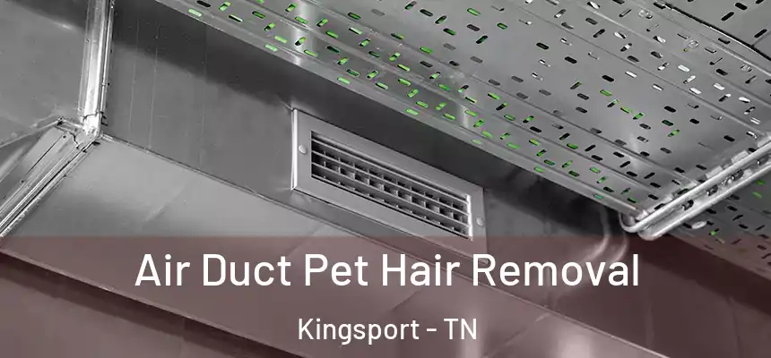 Air Duct Pet Hair Removal Kingsport - TN