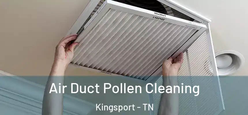 Air Duct Pollen Cleaning Kingsport - TN