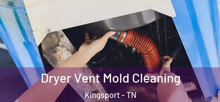 Dryer Vent Mold Cleaning Kingsport - TN