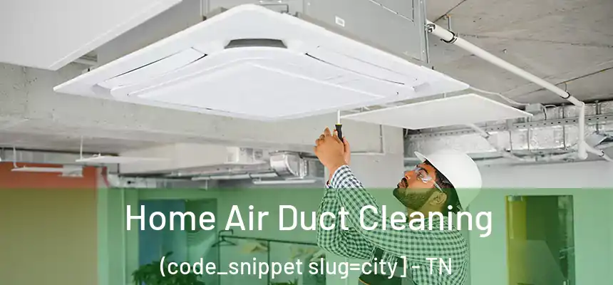  Home Air Duct Cleaning (code_snippet slug=city] - TN