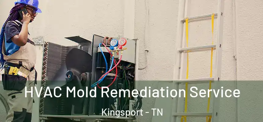 HVAC Mold Remediation Service Kingsport - TN