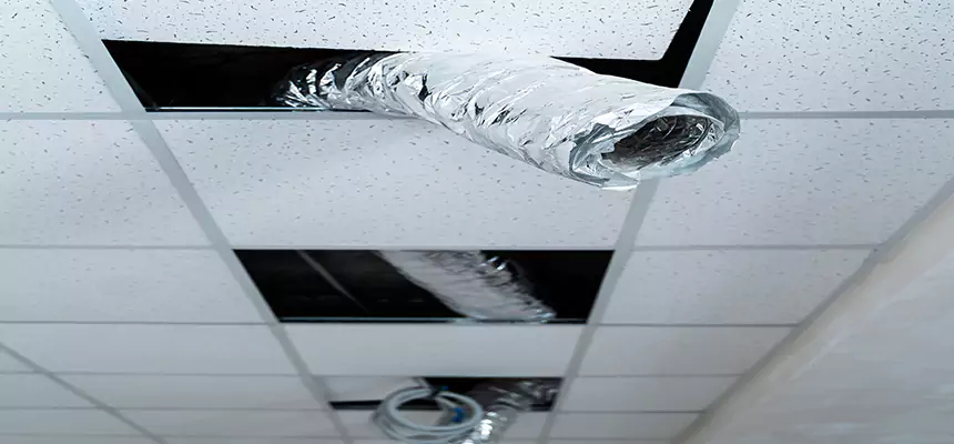 Affordable HVAC Sanitizing After Pest Removal in Kingsport