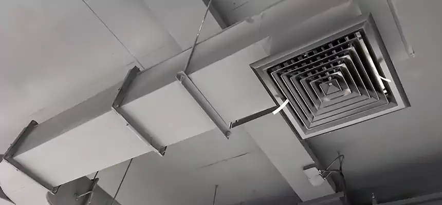 Restorative Allergy Relief Vent Cleaning – Coil, Blower & Housing Detail in Kingsport