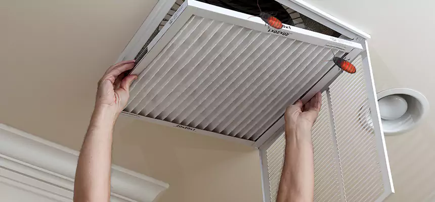 Our Insect Removal from Air Ducts Services in Kingsport, TN