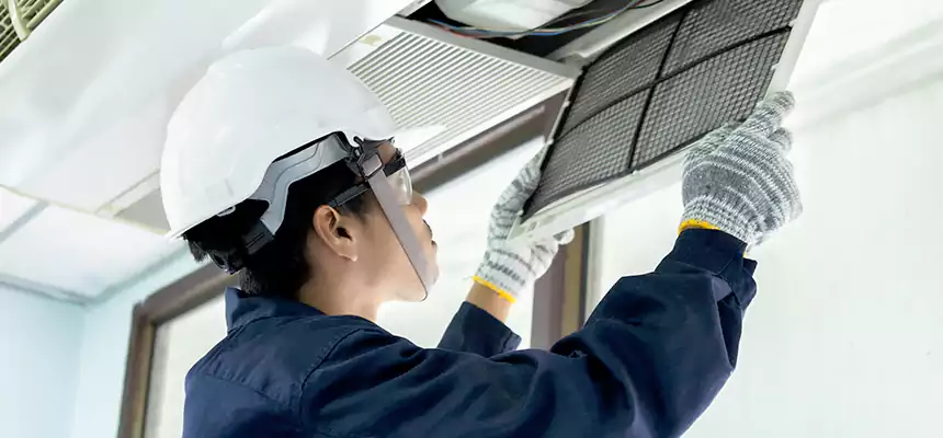 Our Mold & Mildew Removal from Air Ducts Services in Kingsport, TN