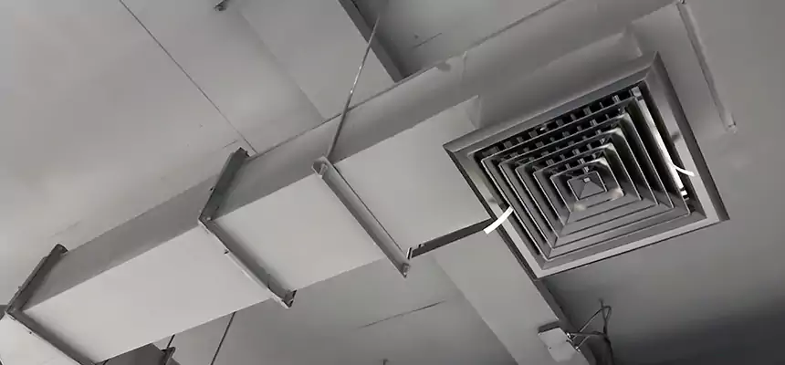 Our Rodent Droppings In Vents Services in Kingsport, TN