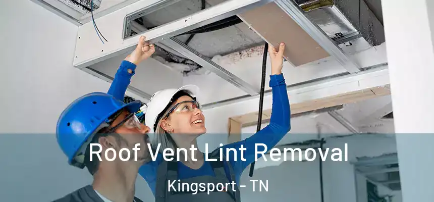Roof Vent Lint Removal Kingsport - TN