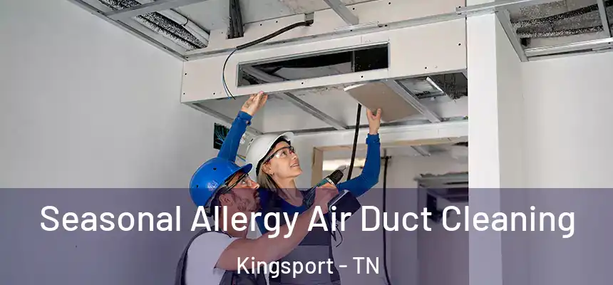 Seasonal Allergy Air Duct Cleaning Kingsport - TN