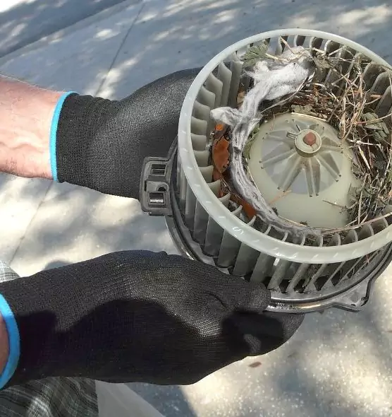 About Air Duct Mice Removal in Kingsport, TN