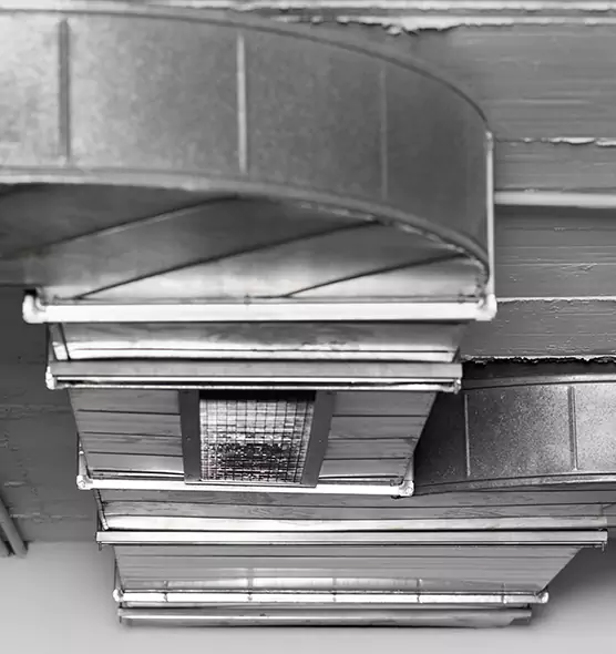 Professional Air Duct Pest Removal in Kingsport, TN