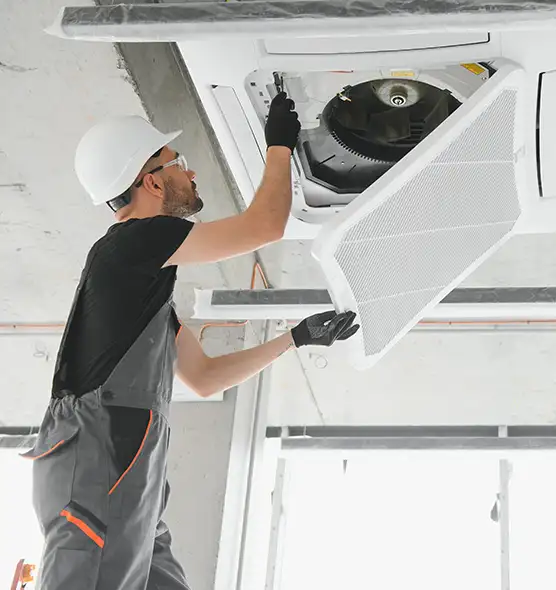 About Air Duct Rodent Removal in Kingsport, TN