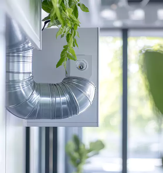 Professional Eco-Friendly Duct Cleaning Services in Kingsport, TN