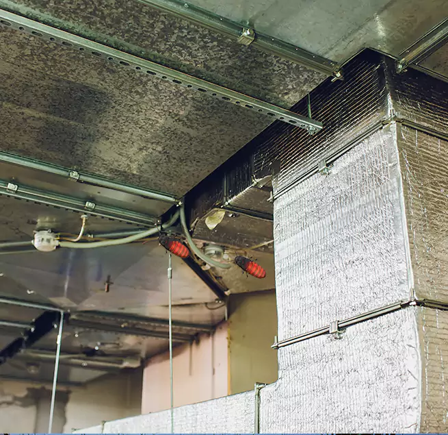 Why Homeowners & Businesses Trust Us Kingsport, TN?