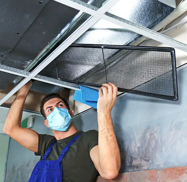 Why Homeowners & Businesses Trust Us in Kingsport, TN?