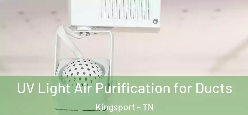 UV Light Air Purification for Ducts Kingsport - TN